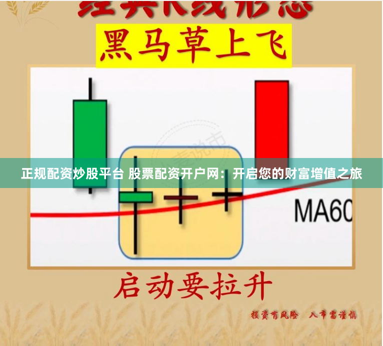 正规配资炒股平台 股票配资开户网：开启您的财富增值之旅