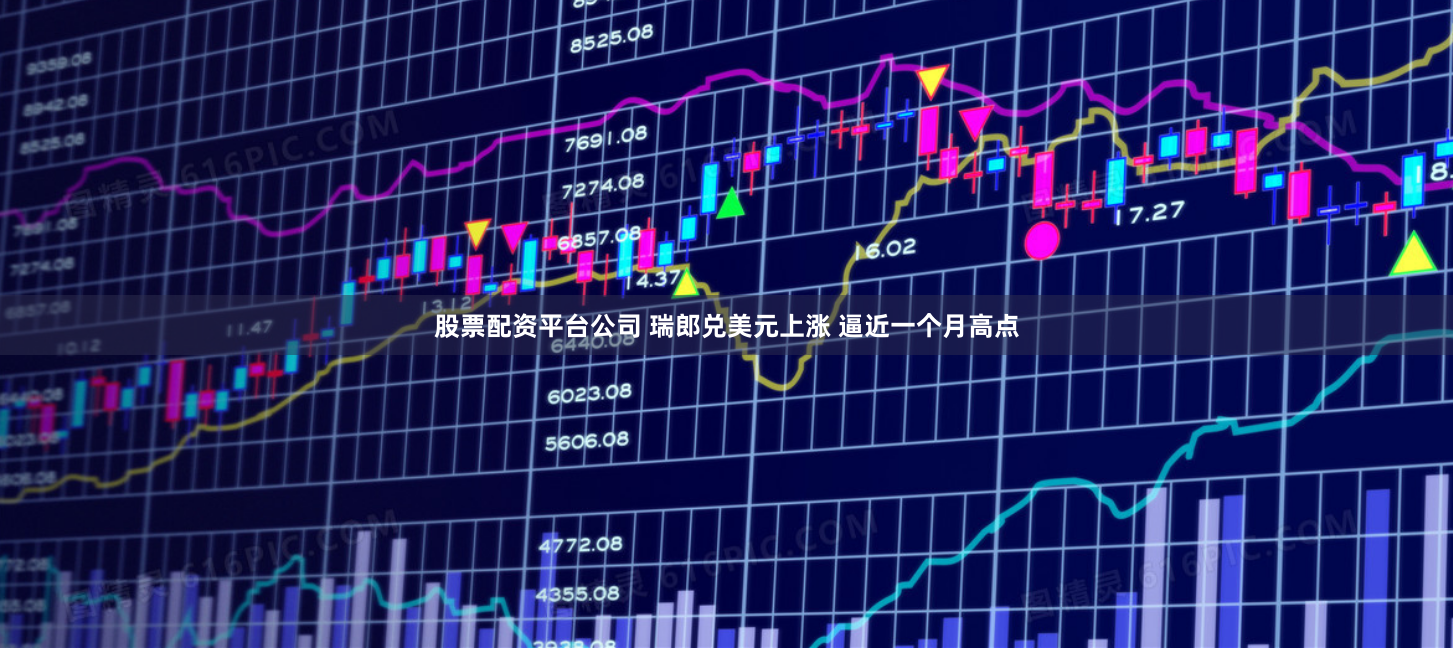 股票配资平台公司 瑞郎兑美元上涨 逼近一个月高点